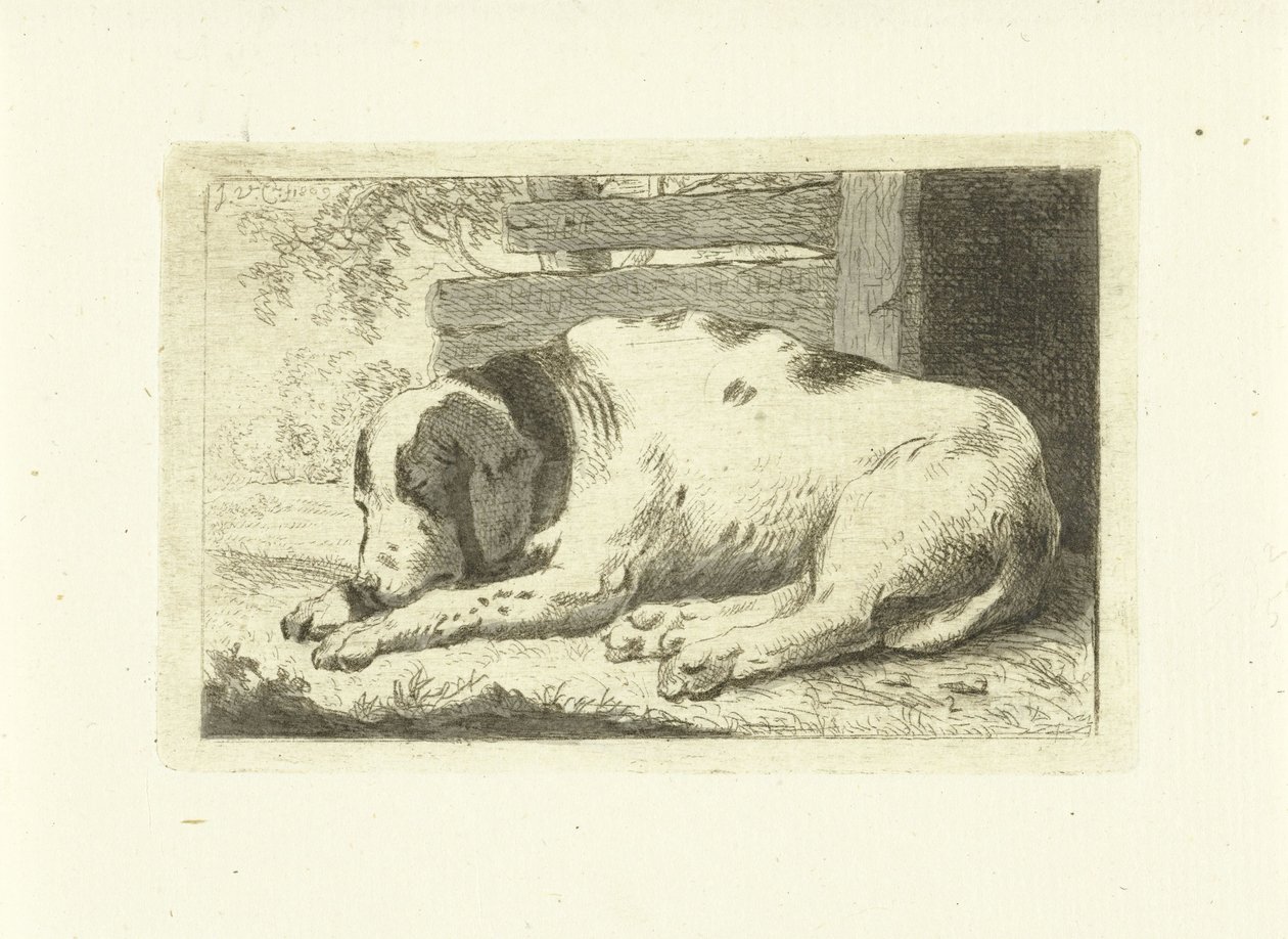 Alvó kutya alkotó: Johannes van Cuylenburgh