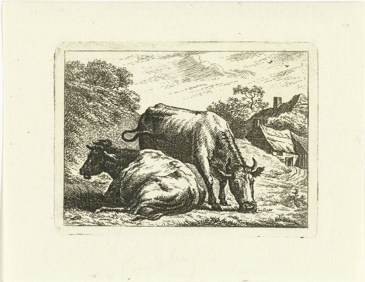 Két tehén az út mentén a farmon alkotó: Johannes van Cuylenburgh