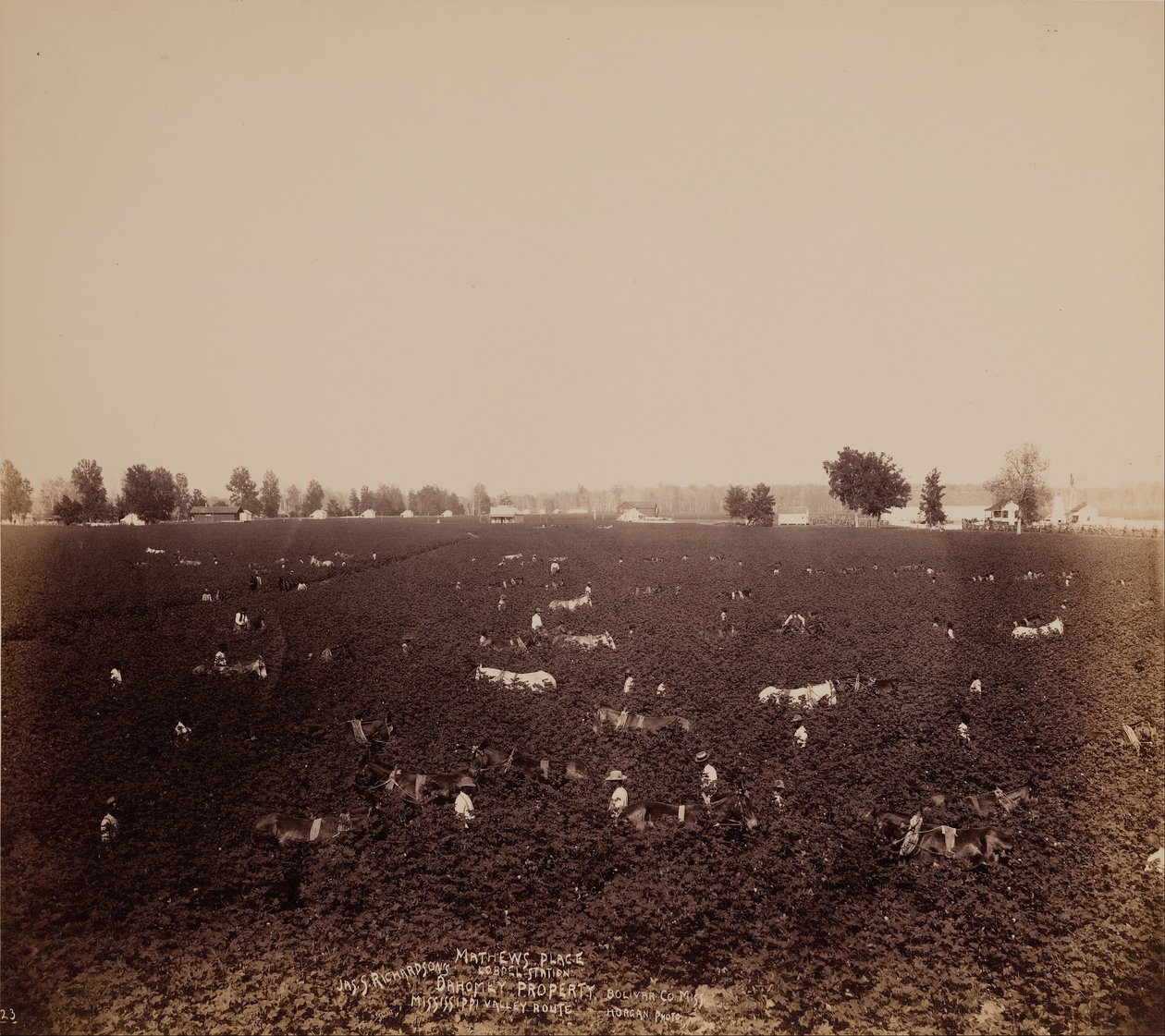 Mathews Place, Lobdell állomás, Jass. Richardsons Property, Bolivar megye, Miss., Mississippi Valle ... alkotó: John Horgan Jr.