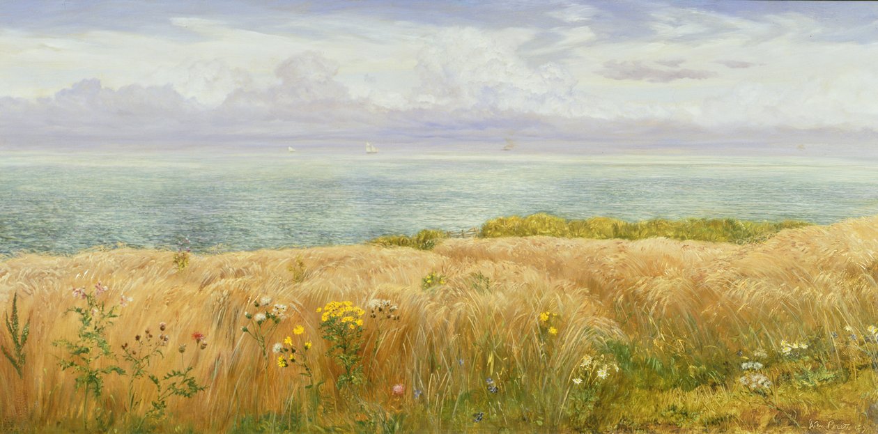 Nyár a sziklákon, 1891 alkotó: John Brett
