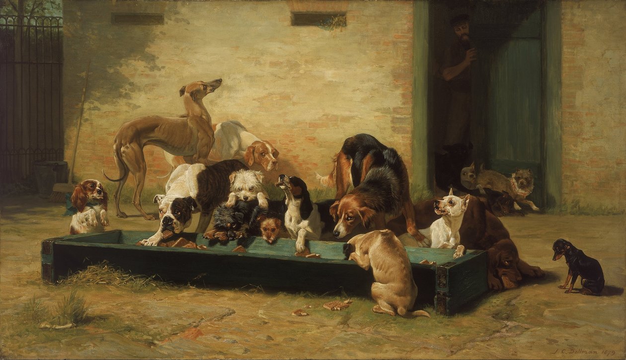 Táblázat dHote a Kutyaotthonban alkotó: John Charles Dollman