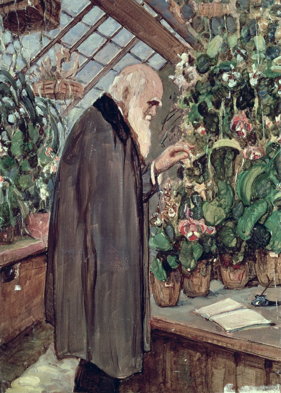 Charles Robert Darwin (1809-82) alkotó: John Collier
