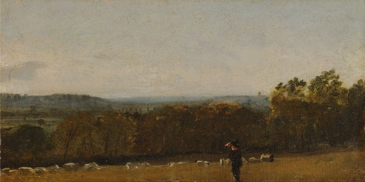 Egy pásztor a tájban a Dedham Vale-en keresztül Langham felé tekintve alkotó: John Constable