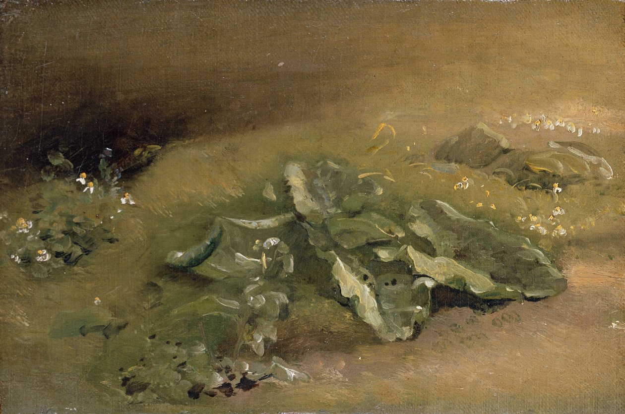 Tanulmány a bojtorjánról alkotó: John Constable