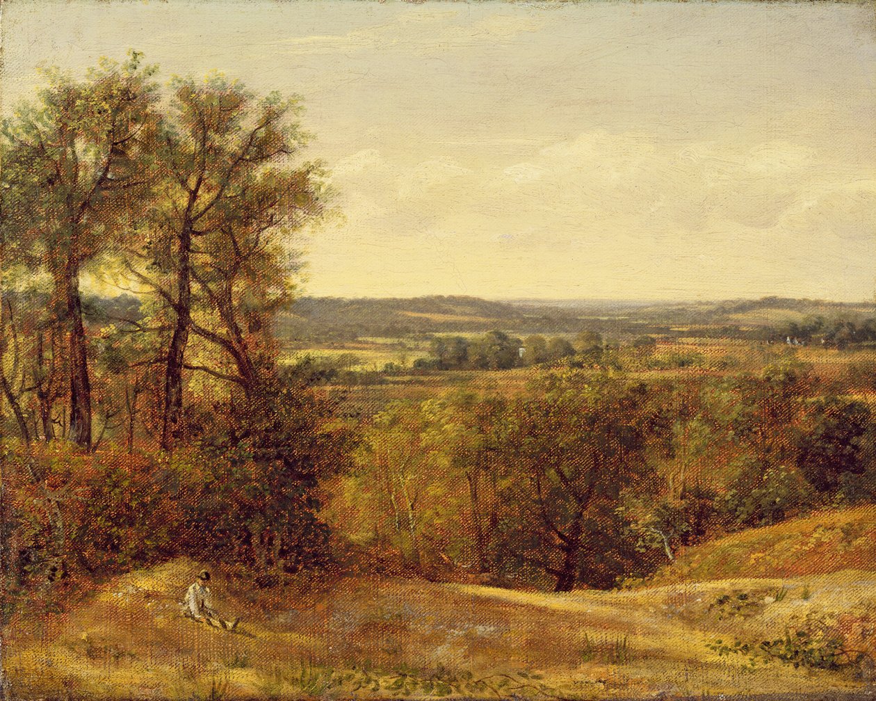 Dadham Wale, 1802. sz alkotó: John Constable