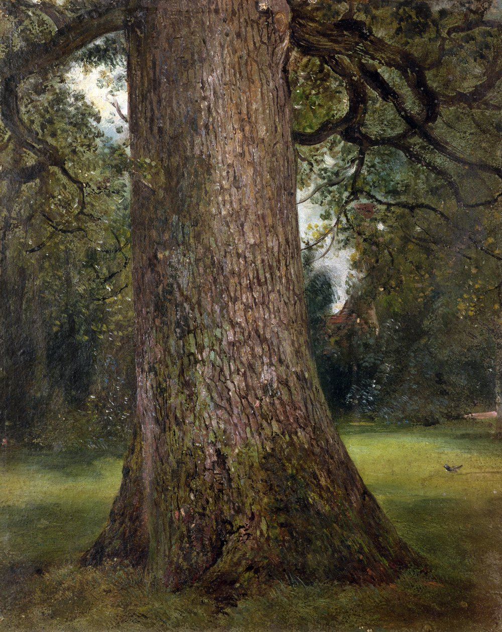 Tanulmány egy szilfa törzséről, 1821 körül (olaj, papír) alkotó: John Constable