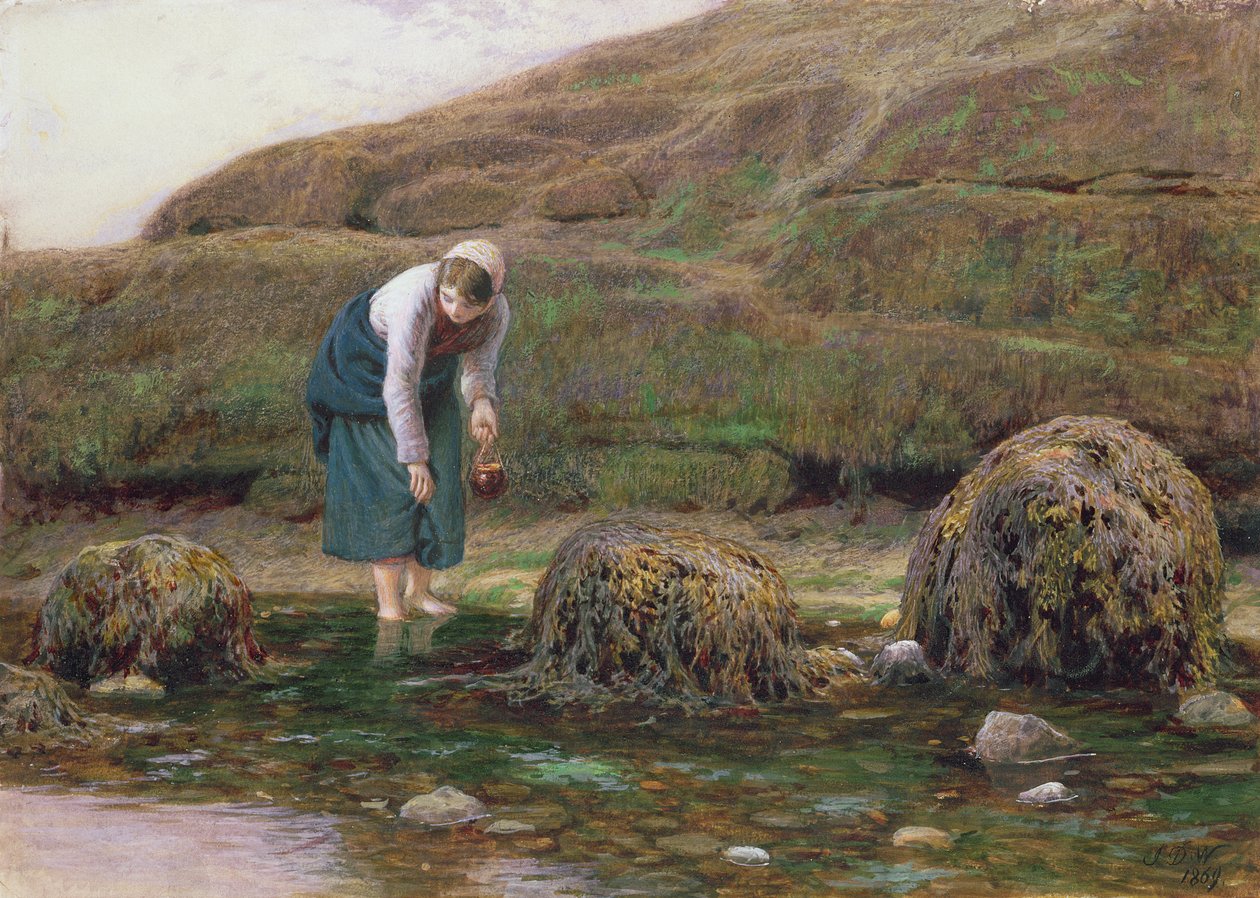 A Winkle Gatherer, 1869 alkotó: John Dawson Watson
