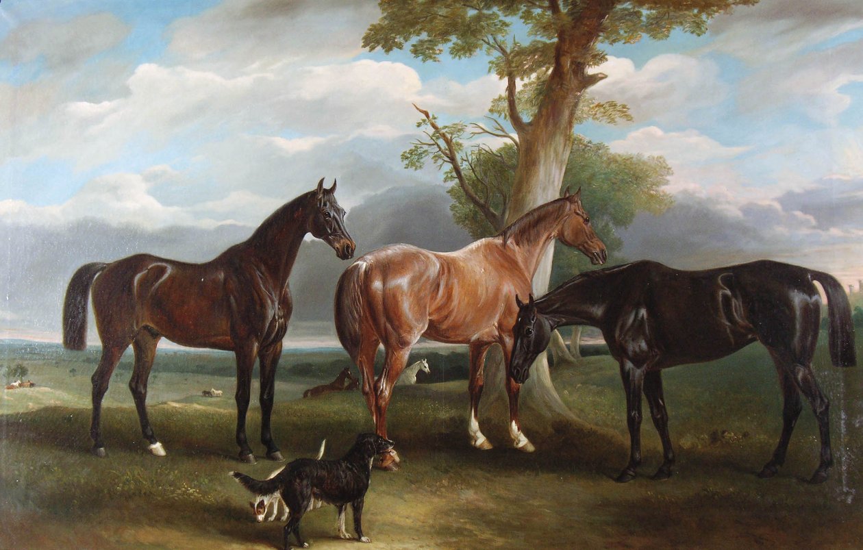 A 6. herceg kedvenc vadászai és kutyái, 1857 alkotó: John E. Ferneley