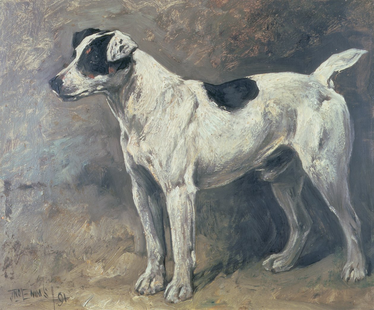 Egy Jack Russell, 1891 alkotó: John Emms
