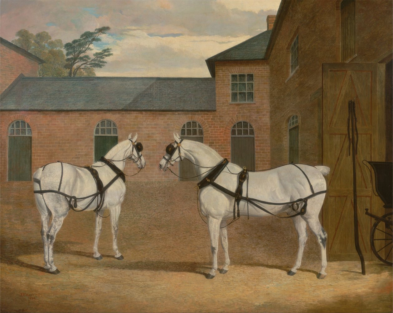 Szürke kocsi lovak a Putteridge Bury, Hertfordshire -i kocsibeállóban alkotó: John F. Herring