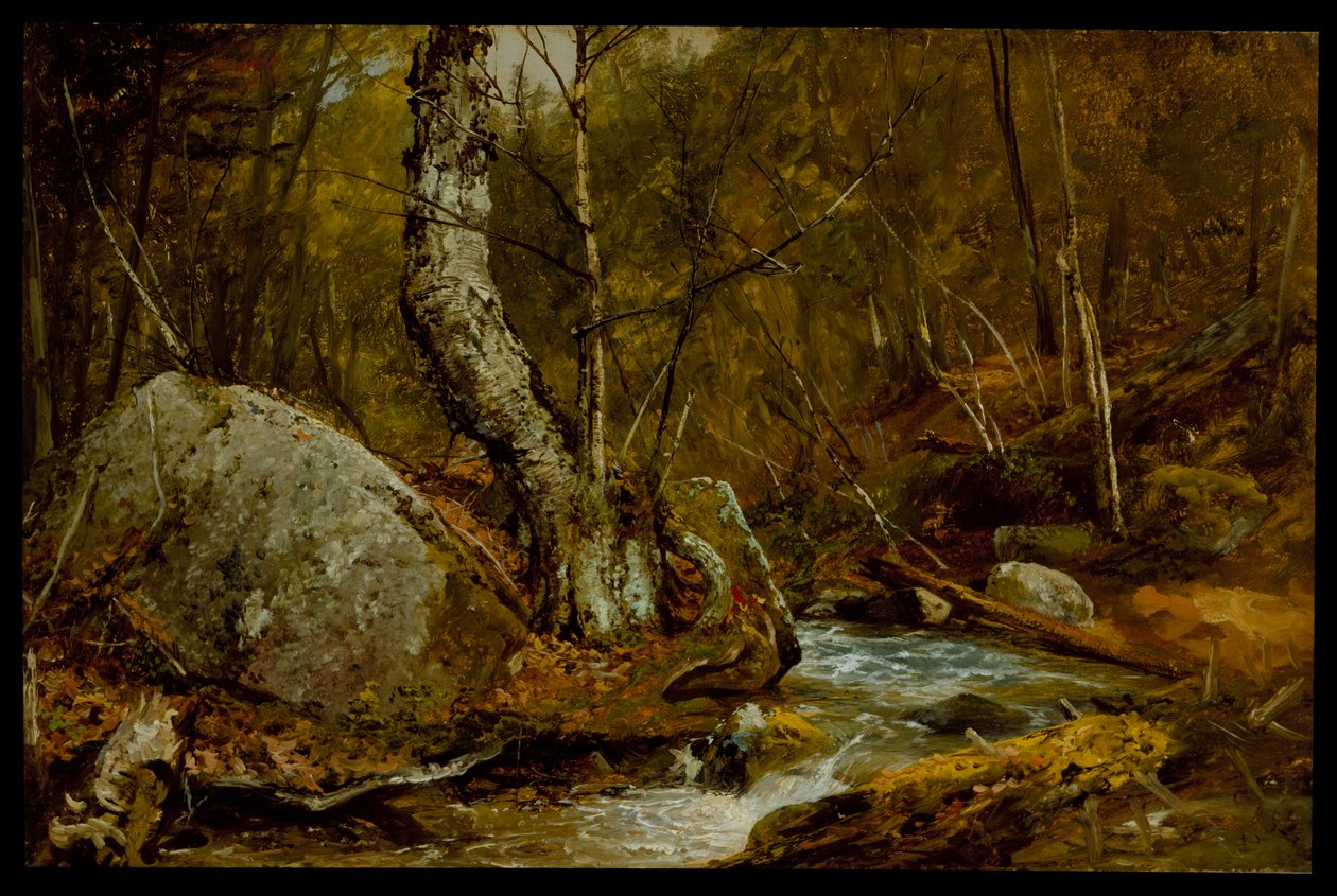 Erdei enteriőr, 1850-55 körül alkotó: John Frederick Kensett