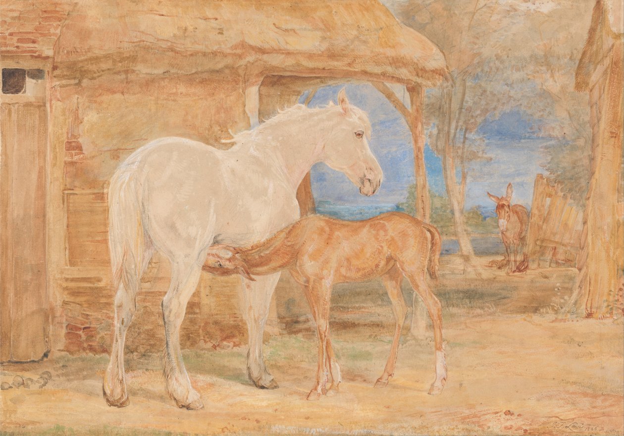 Szürke kanca és egy gesztenye csikó alkotó: John Frederick Lewis