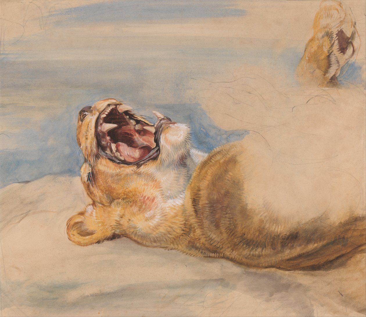 Tanulmány egy oroszlánnőről alkotó: John Frederick Lewis