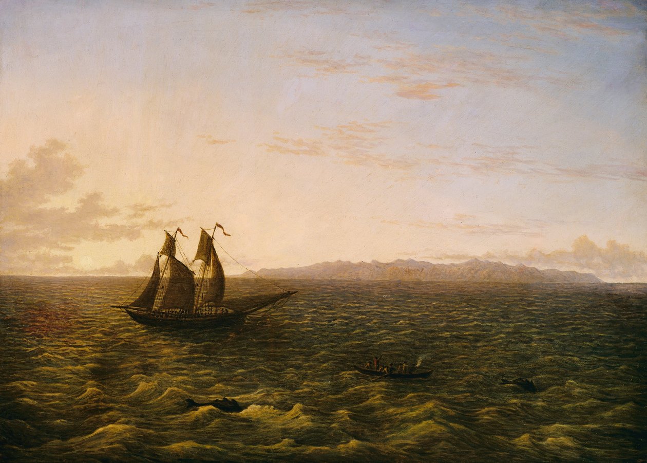 Madeira szigete alkotó: John Glover