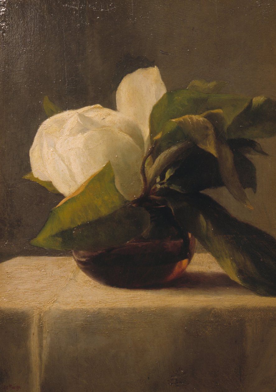 Magnólia alkotó: John La Farge or Lafarge