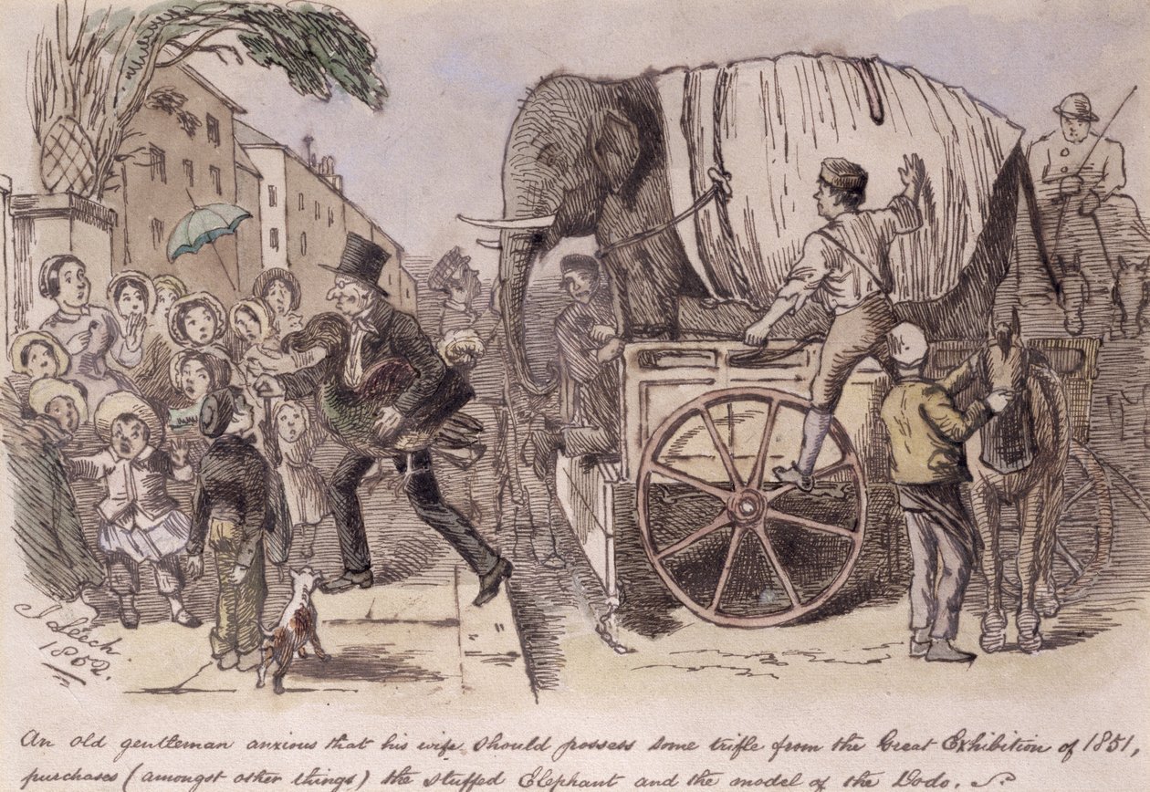 "Egy idős úriember arra vágyik, hogy a felesége birtokoljon valami apróságot az 1851-es Nagy Kiállításról, megvásárolja (többek között) a kitömött elefántot és a dodó makettjét" - készült Punch alkotó: John Leech