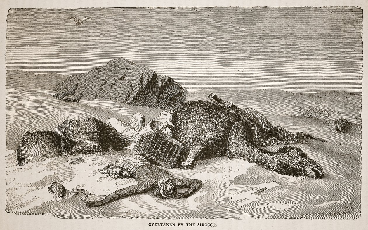 Megelőzte a Sirocco, illusztráció a David Livingstone élete és felfedezései képi kiadásából, J. Ewing Richie, pub. A. Fullarton und Co., 1876 alkotó: John Martin