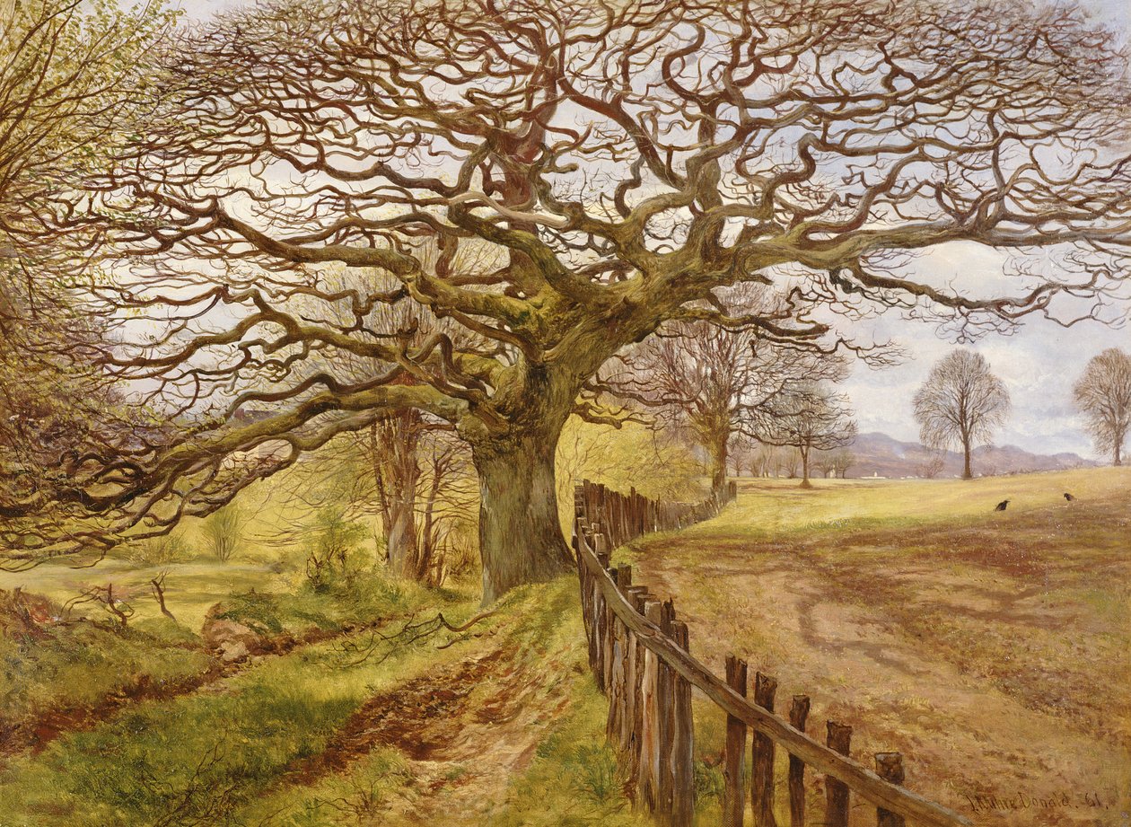 A fa, 1861 alkotó: John Milne Donald