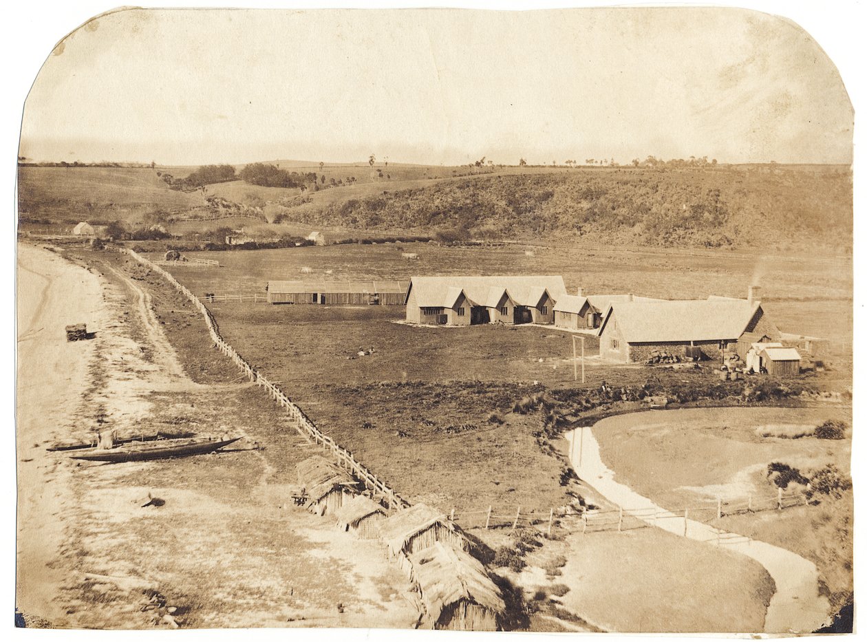 Kohimarama, 1860 körül (albumenizált sónyomat) alkotó: John Nicol Crombie