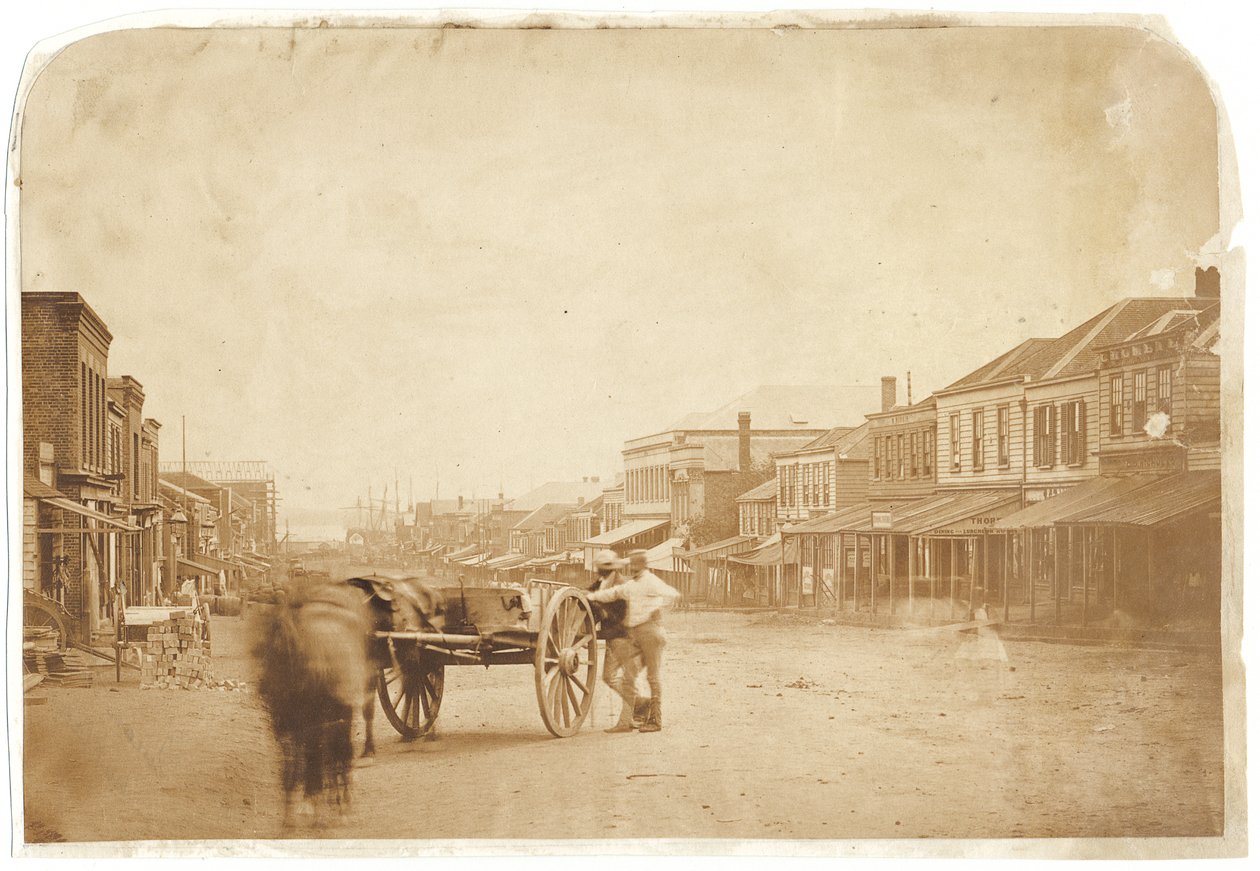 Upper Queen Street, Auckland, 1859 után (albuminizált sónyomat) alkotó: John Nicol Crombie