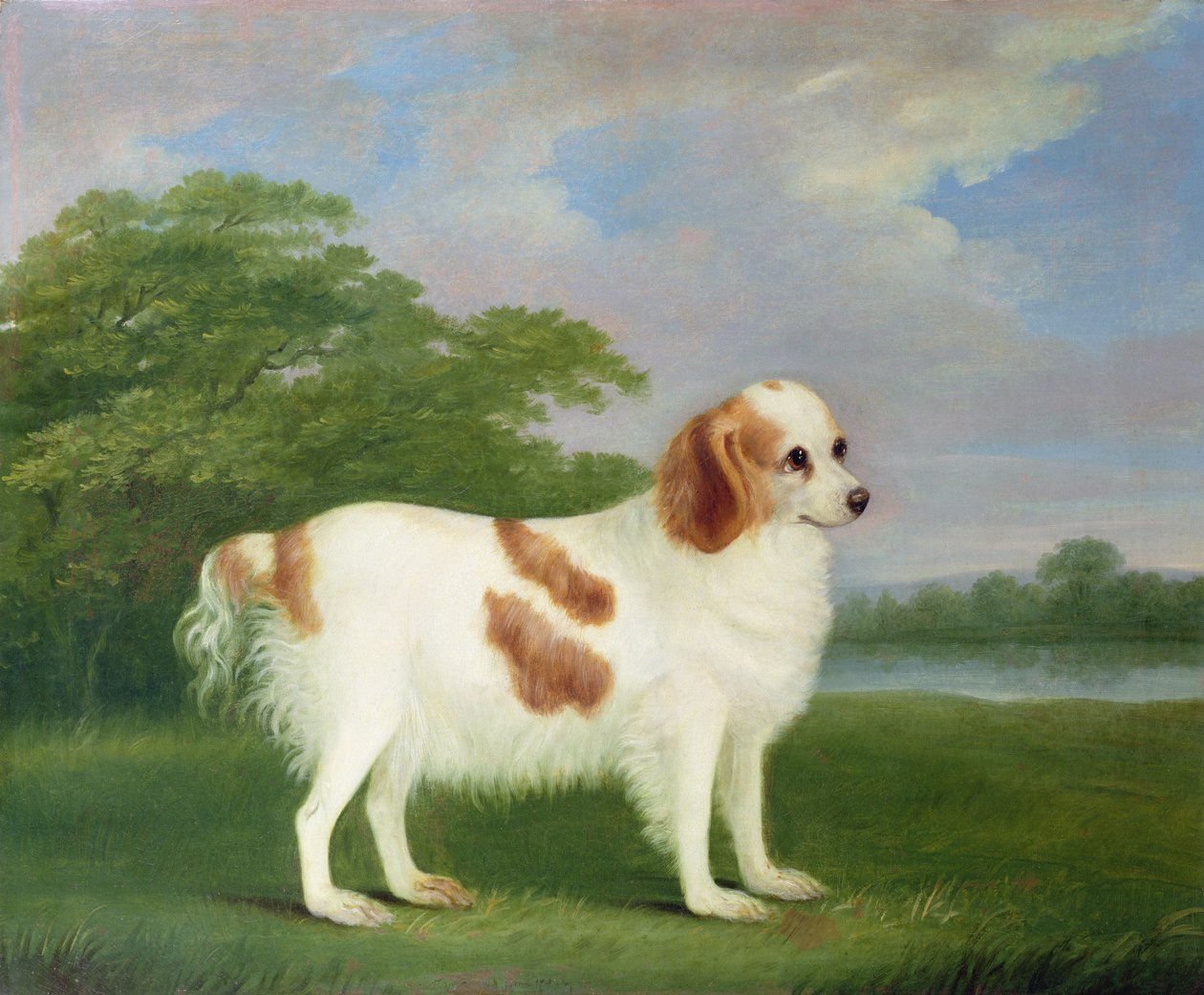 Spániel tájképben, 1789 alkotó: John Nott Sartorius
