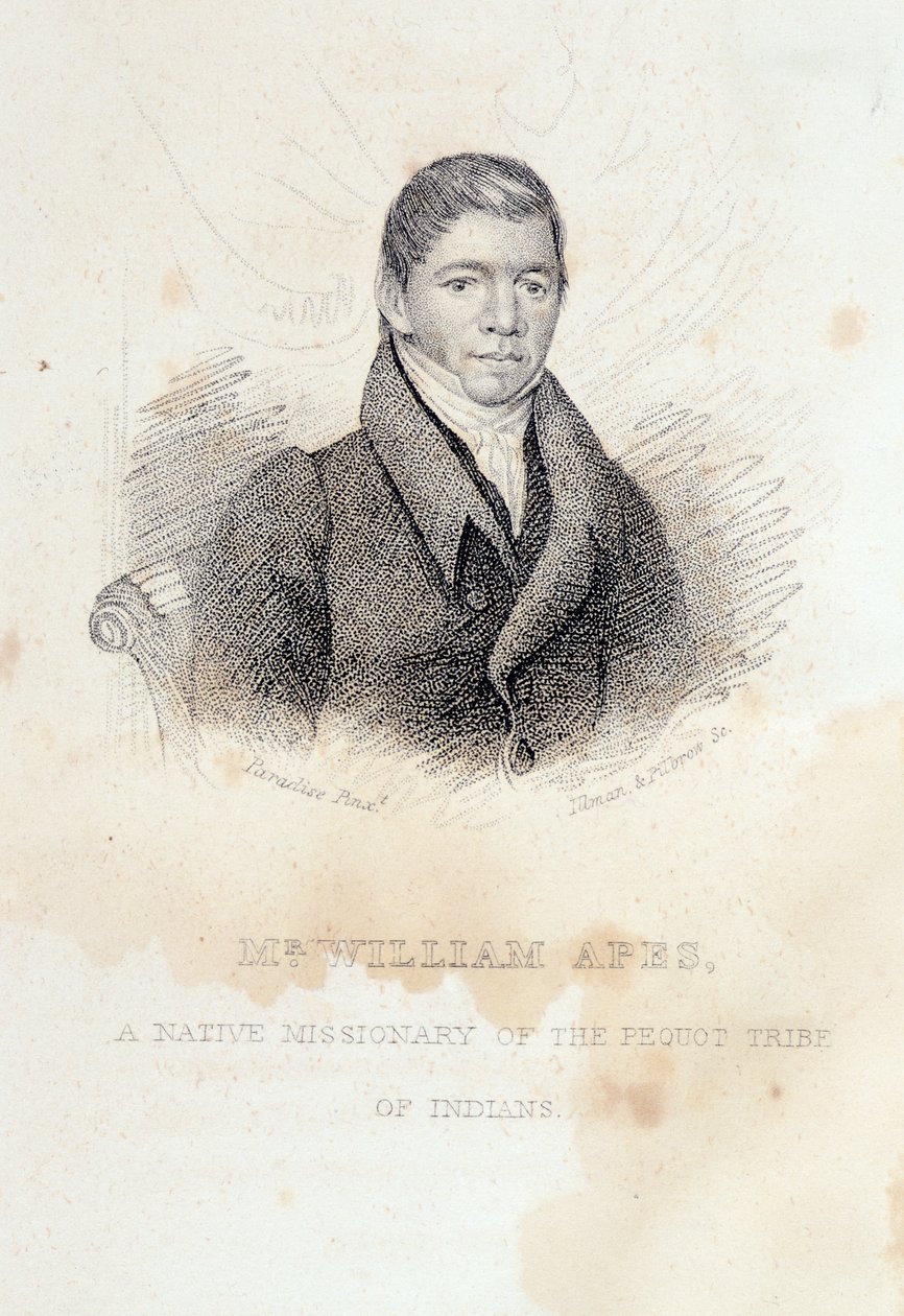 William Apes portréja, vésette Illman és Pilbrow alkotó: John Paradise