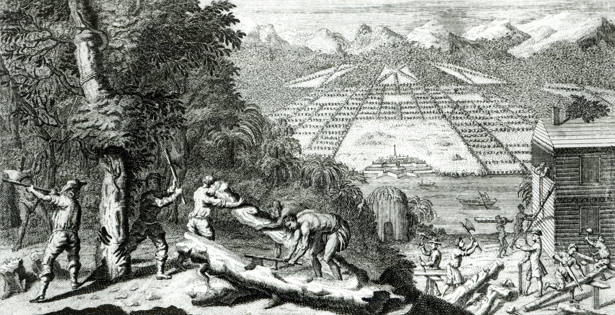 Illusztráció: „A Georgia kolónia létrehozásának okai”, Benjamin Martyn (1699-1763), 1733 alkotó: John Pine