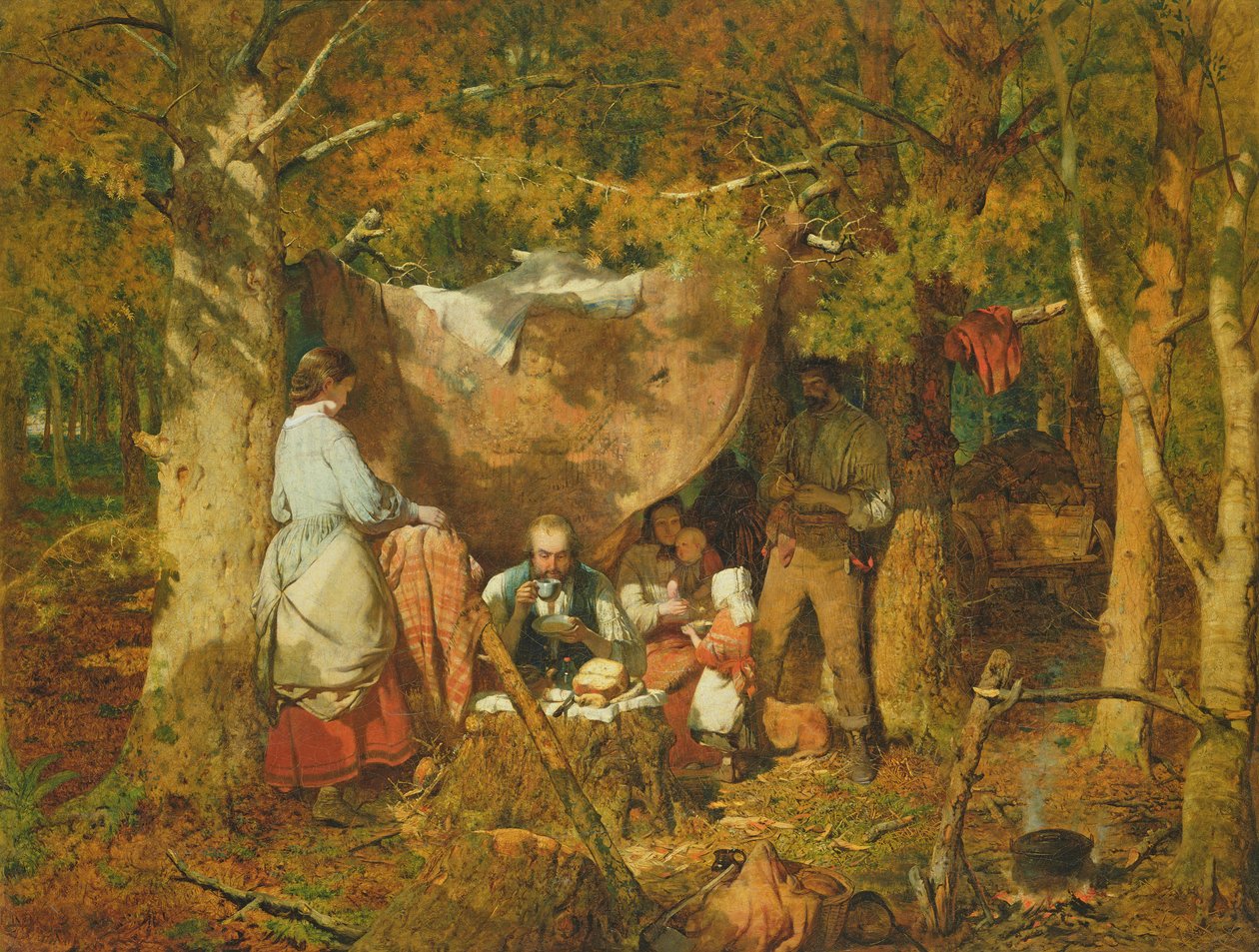 Élet a hátsó erdőben alkotó: John Ritchie