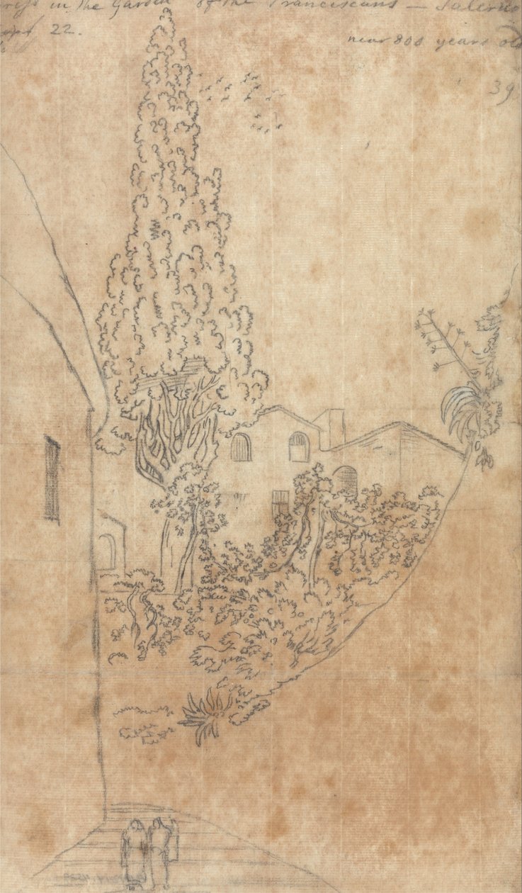Ciprus a ferencesek kertjében Salernóban alkotó: John Robert Cozens