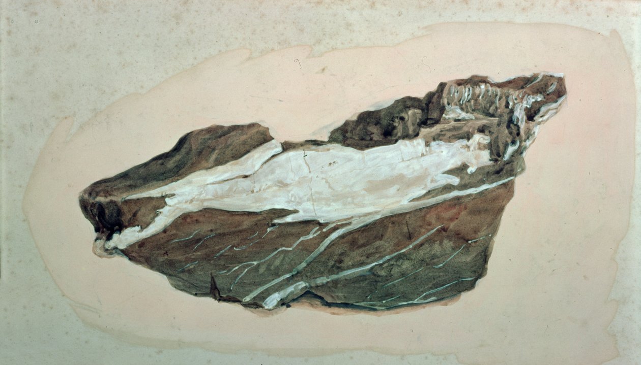 Kvarc erezetű kőzettanulmány, 19. század alkotó: John Ruskin