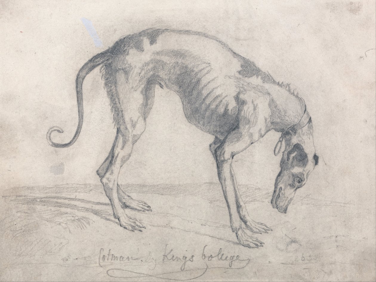 Egy éhező agár alkotó: John Sell Cotman