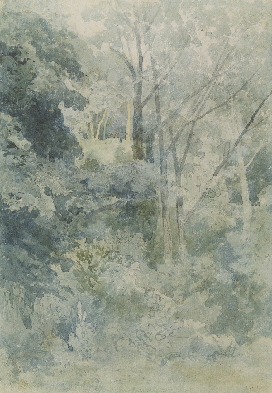 Rokeby Parkban, 1805 körül (wc és ceruza papíron) alkotó: John Sell Cotman