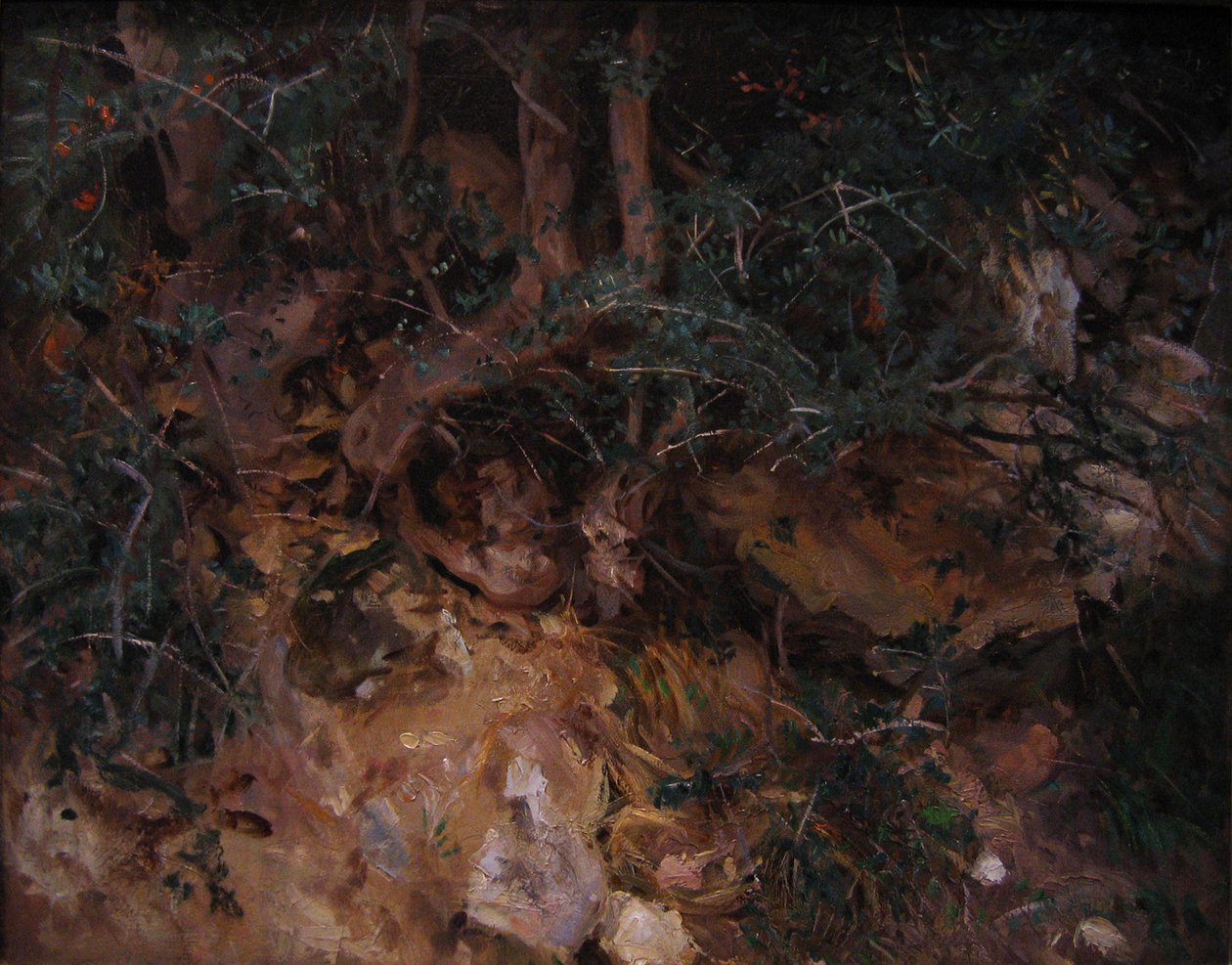 Valldemossa, Mallorca: Bogáncs és gyógynövény egy domboldalon alkotó: John Singer Sargent