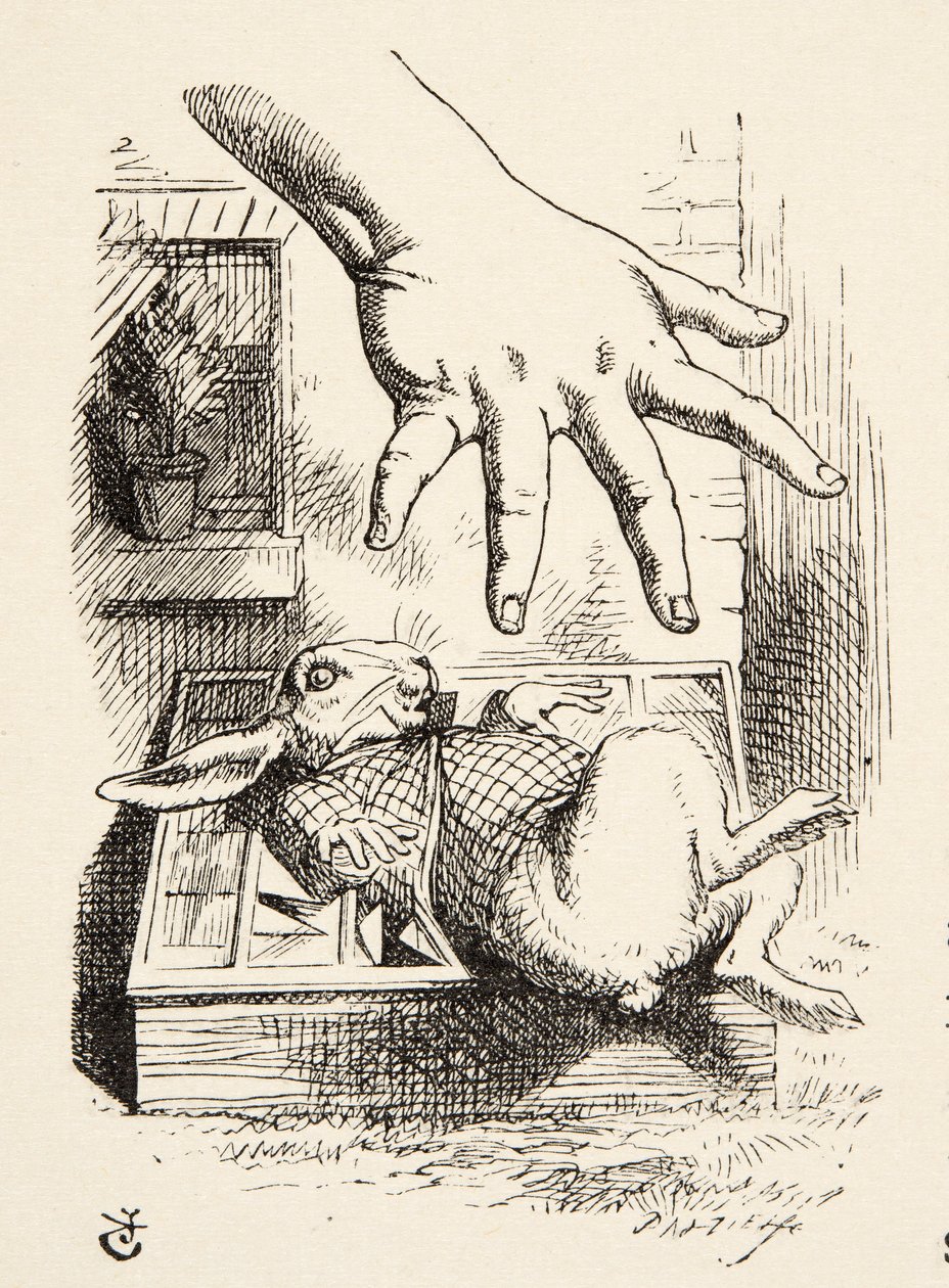 Alice elejti a fehér nyulat, Lewis Carroll (1832 - 98) Alices kalandjai Csodaországban című művéből, megjelent 1891-ben. alkotó: John Tenniel