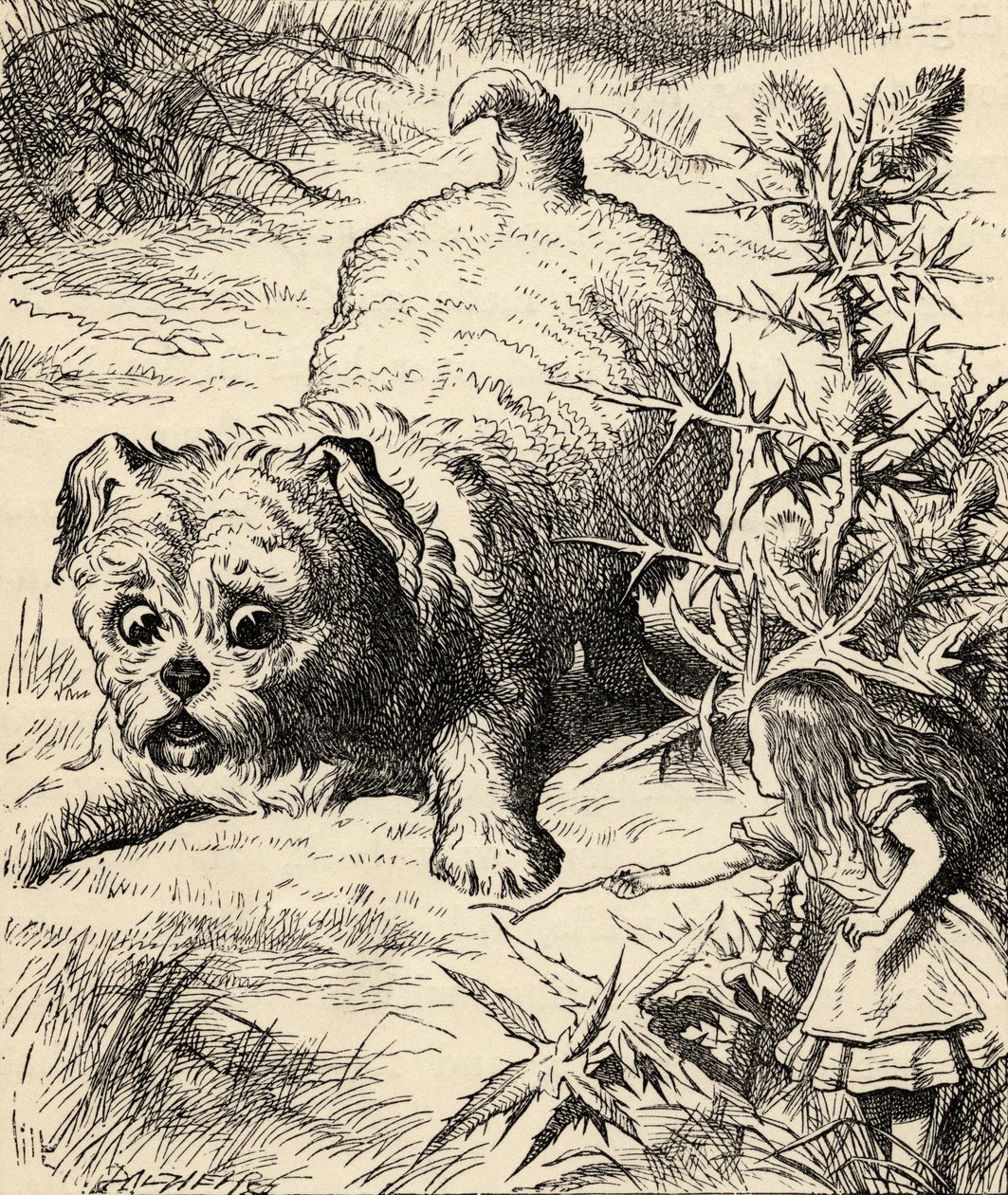 Alice összezsugorodik, és találkozik a kiskutyával, Lewis Carroll „Alice kalandjai csodaországban” című művéből, 1891-ben. alkotó: John Tenniel