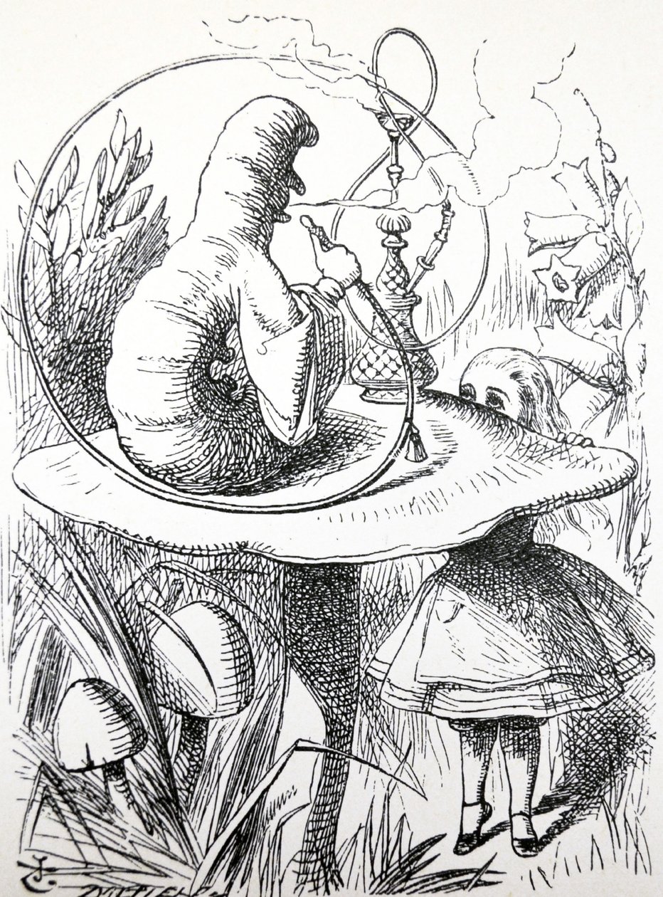 Alice kalandjai Csodaországban, 1865 alkotó: John Tenniel