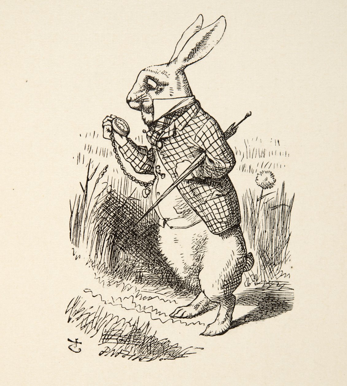 A fehér nyúl, Lewis Carroll (1832 - 98), Alices kalandjai Csodaországban című művéből. 1891 alkotó: John Tenniel