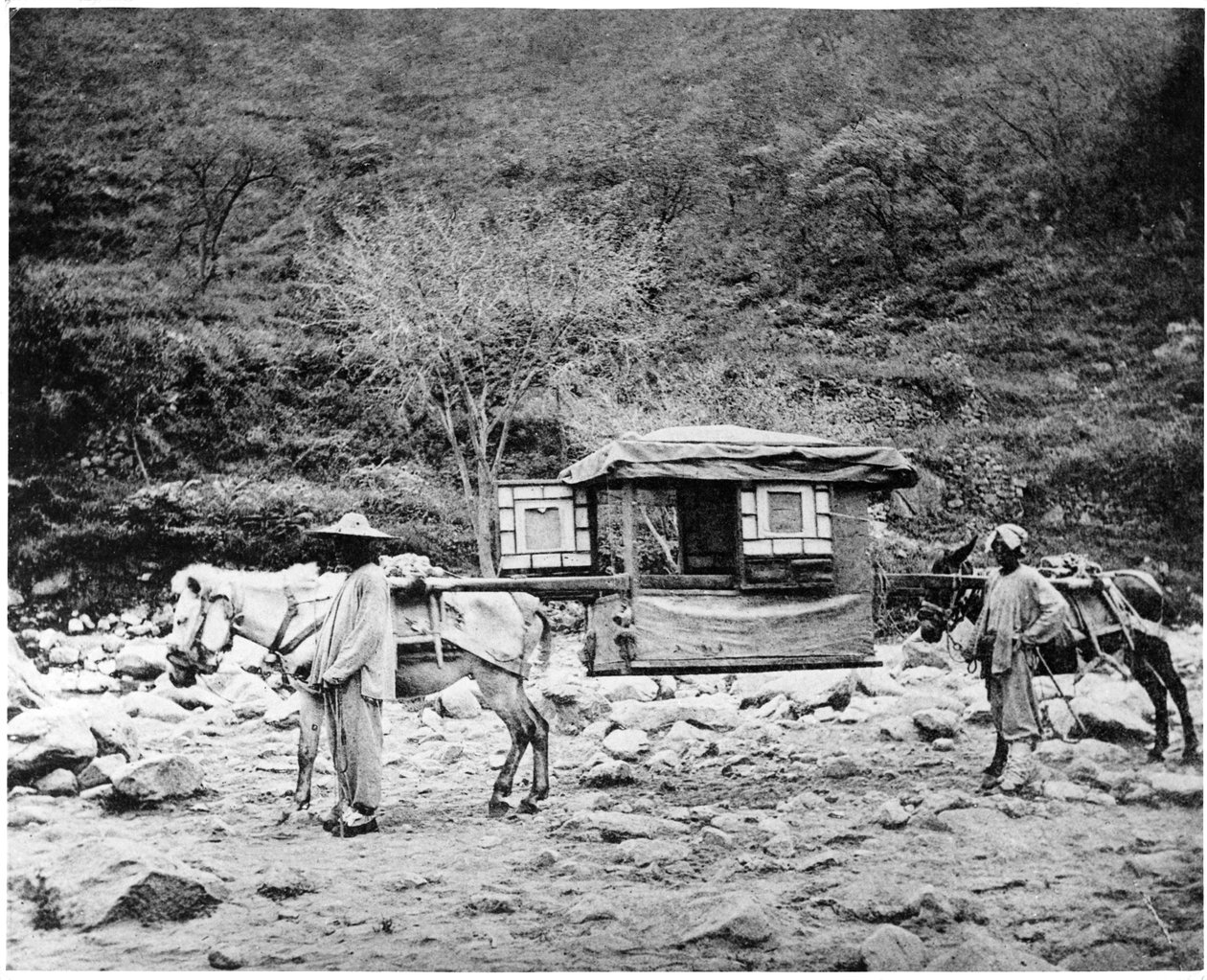 Pekingi öszvér alom, 1867-72 körül alkotó: John Thomson