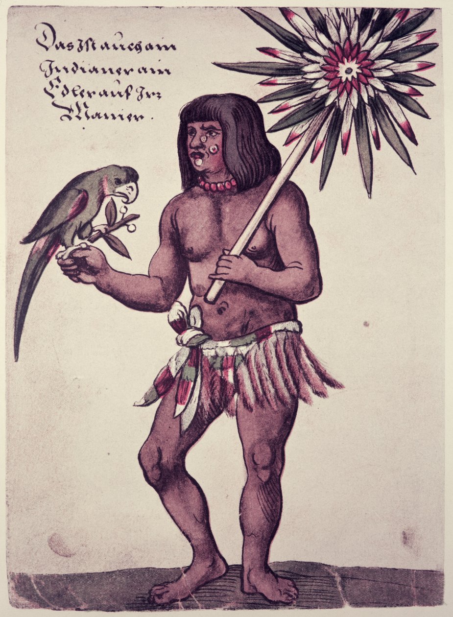 Amazonas indián, metszett: Theodore de Bry (1528-98) alkotó: John White