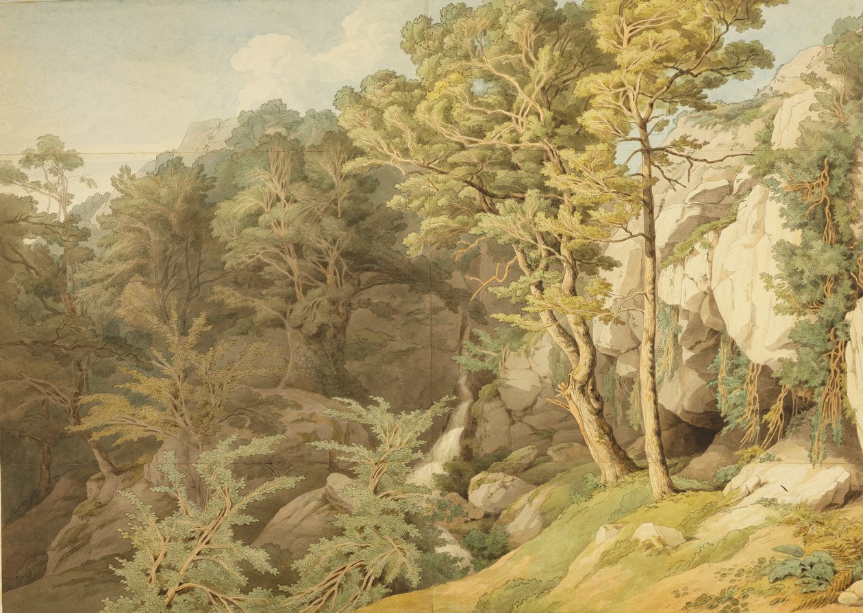 Canonteign, Devon, 1804 (toll, tinta és WC papíron) alkotó: John White Abbott
