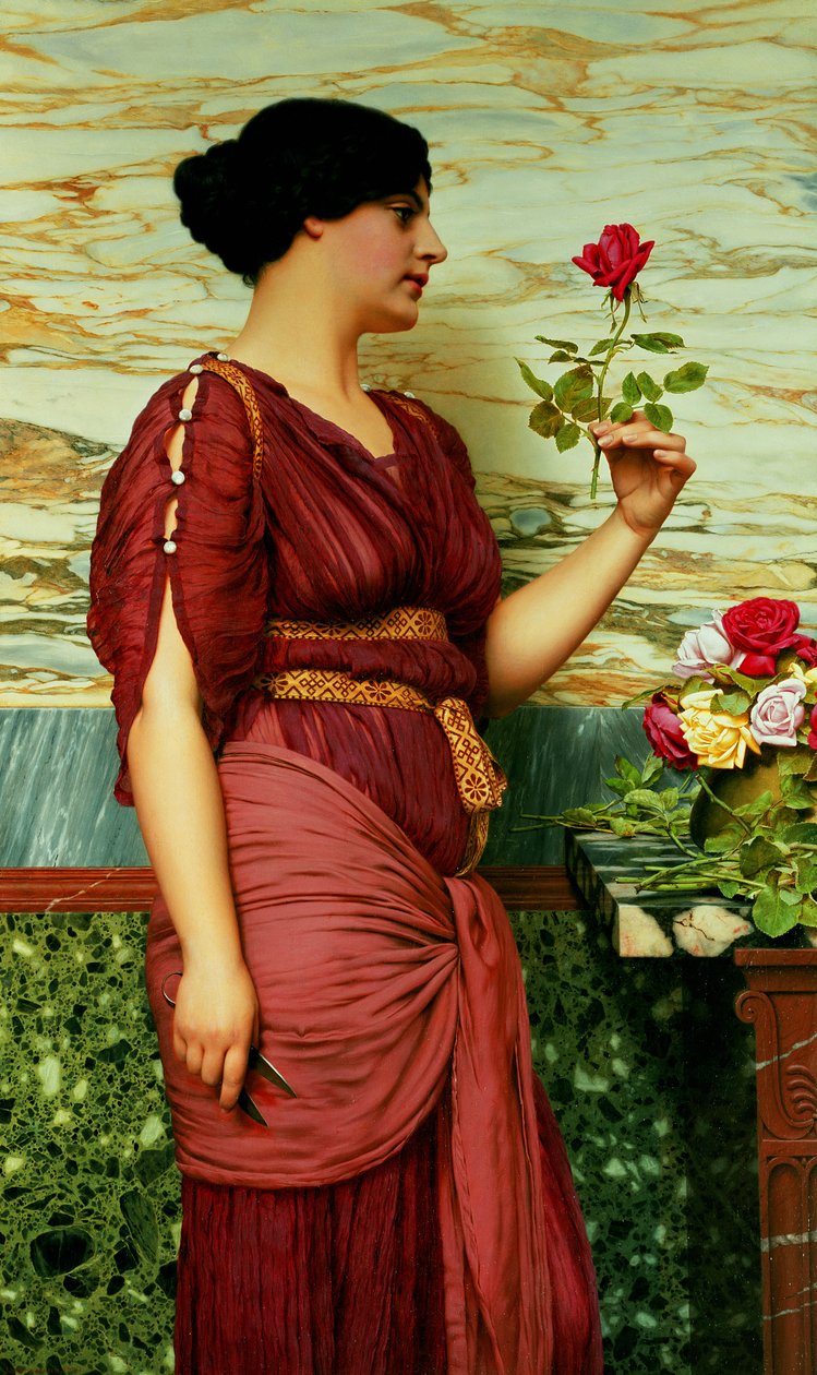 Vörös, vörös rózsa alkotó: John William Godward