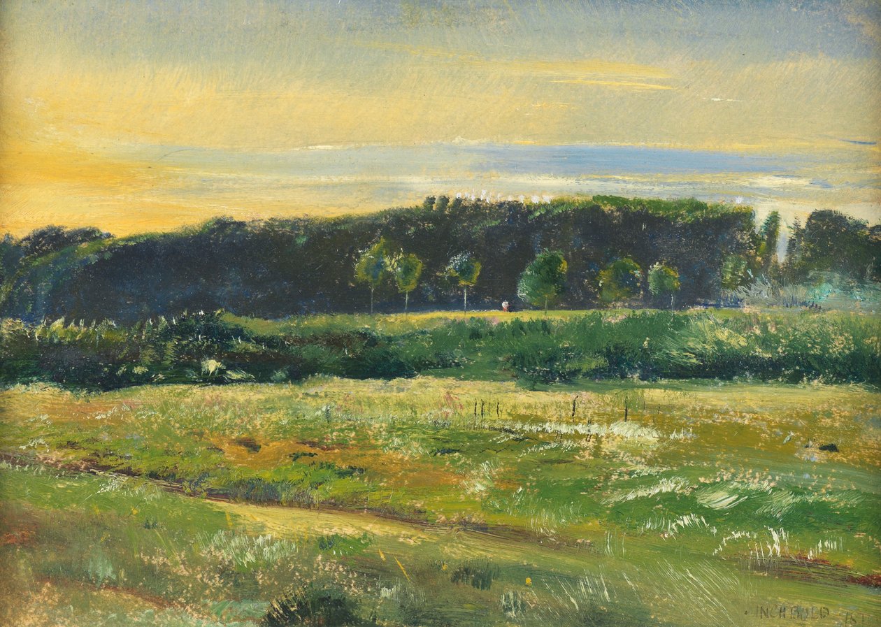 The Common, 1871. június (olaj a kártyán) alkotó: John William Inchbold