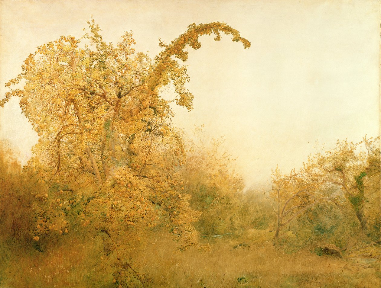 Az öreg körtefa alkotó: John William North