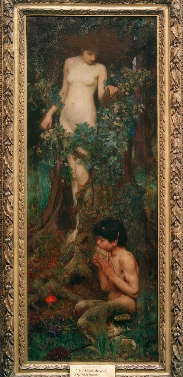 Egy Hamadryad alkotó: John William Waterhouse