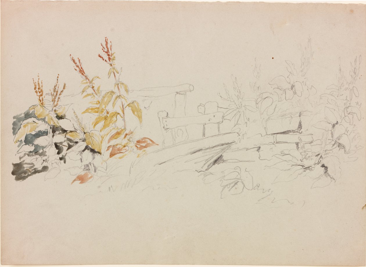Természettanulmány (ceruza és akvarell, papír (szürke)) alkotó: John Wilson Carmichael