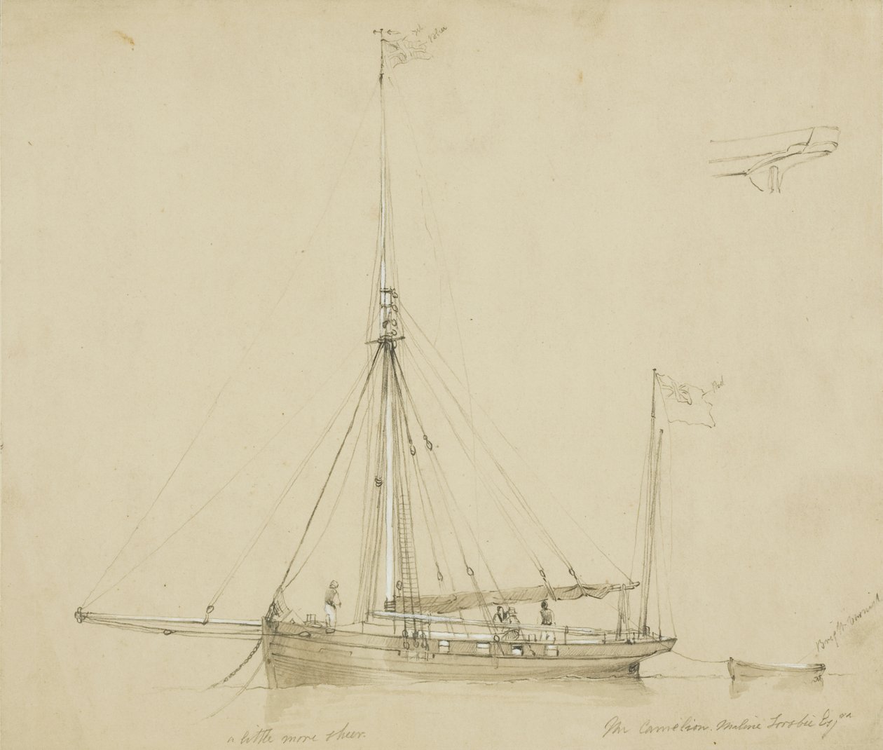 A kaméleon, Thaline Sosie Esq. (ceruza és akvarell papíron) alkotó: John Wilson Carmichael