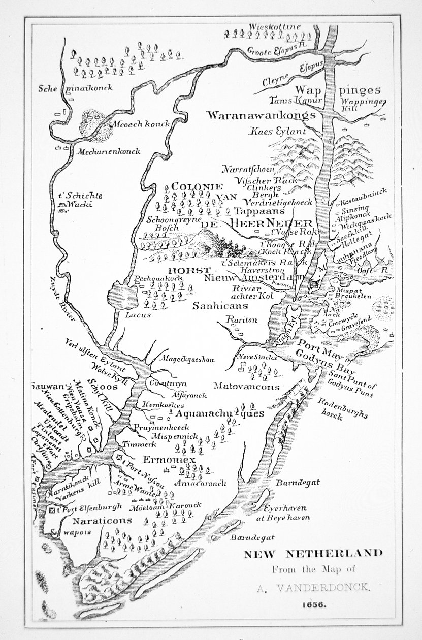 Gyarmati Amerika: Új Hollandia holland gyarmata (litho) alkotó: John (after) Vanderbank