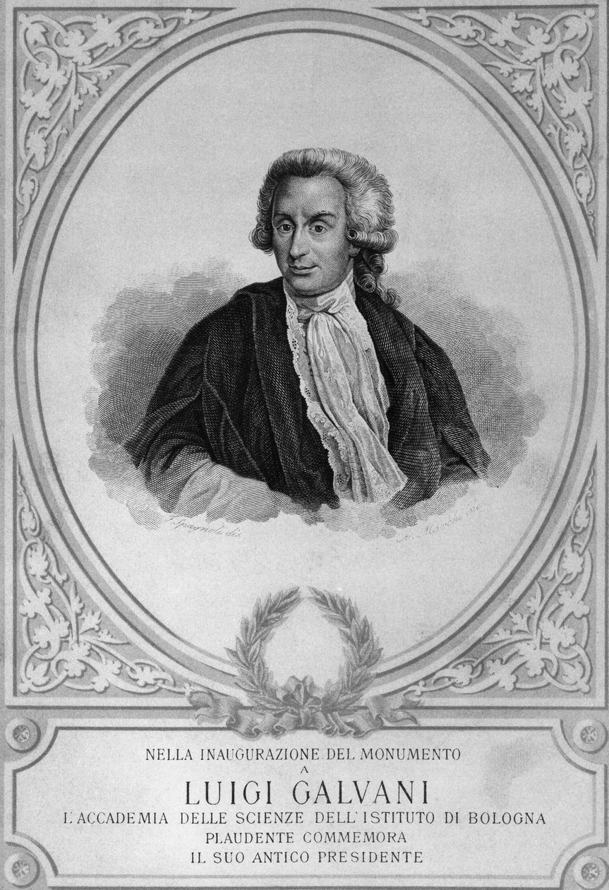 Luigi Galvani (1737-1798) olasz fiziológus, fizikus, biológus és anatómus, az állati elektromosság felfedezőjének portréja, rajz. alkotó: Walter Charles Mills