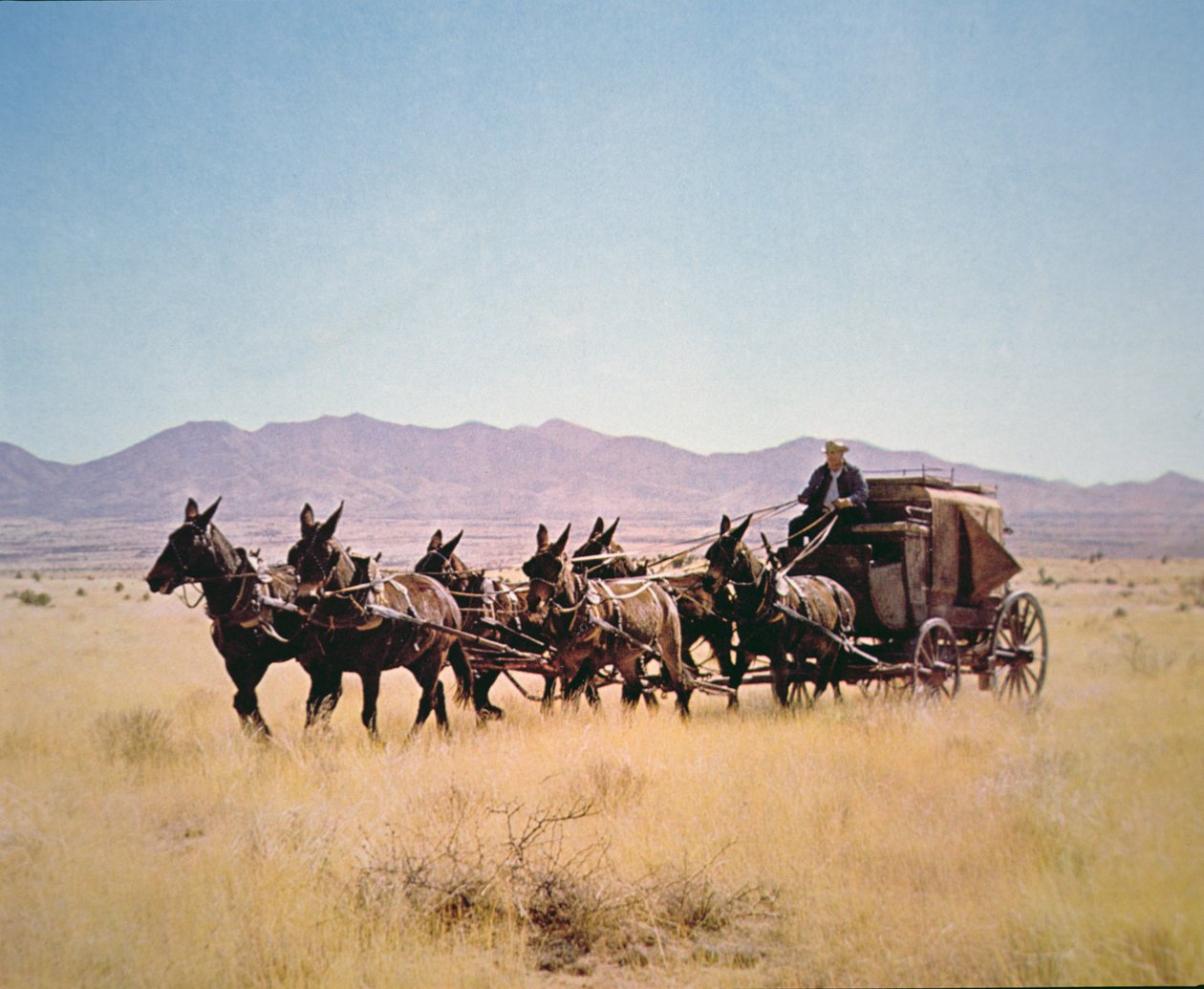 A Western Stagecoach-t egy hat öszvér csapat húzta (fotó) alkotó: Walter Charles Mills