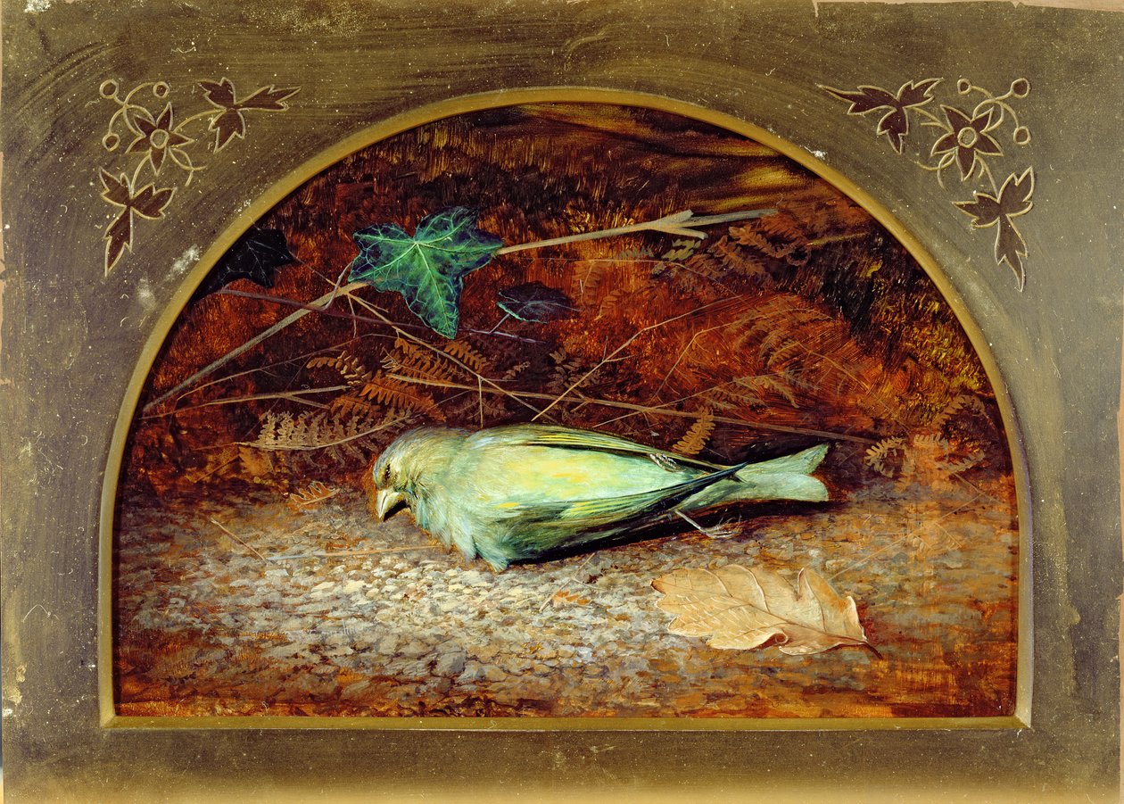 Egy halott Linnet alkotó: John Atkinson Grimshaw